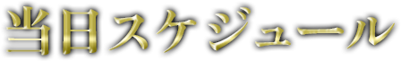 当日スケジュール